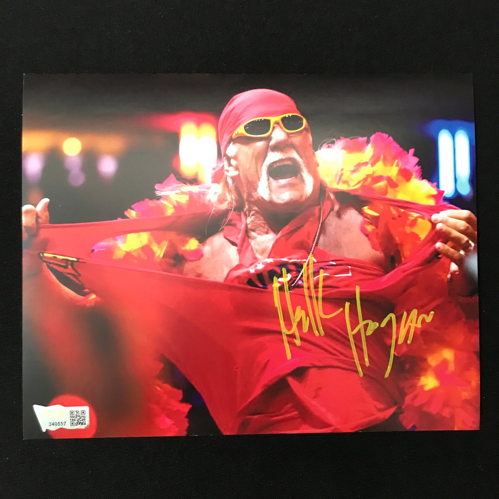 HULK HOGAN SIGNED 8X10 - ACE COA: Prices are in Canadian dollars