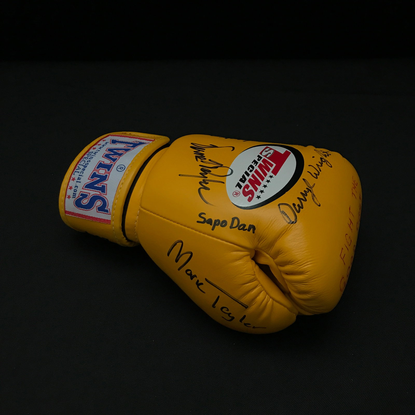 2010 THAILAND CAMBODIA FIGHT THE GOOD FIGHT MULTI SIGNED GLOVE (1 of 2)