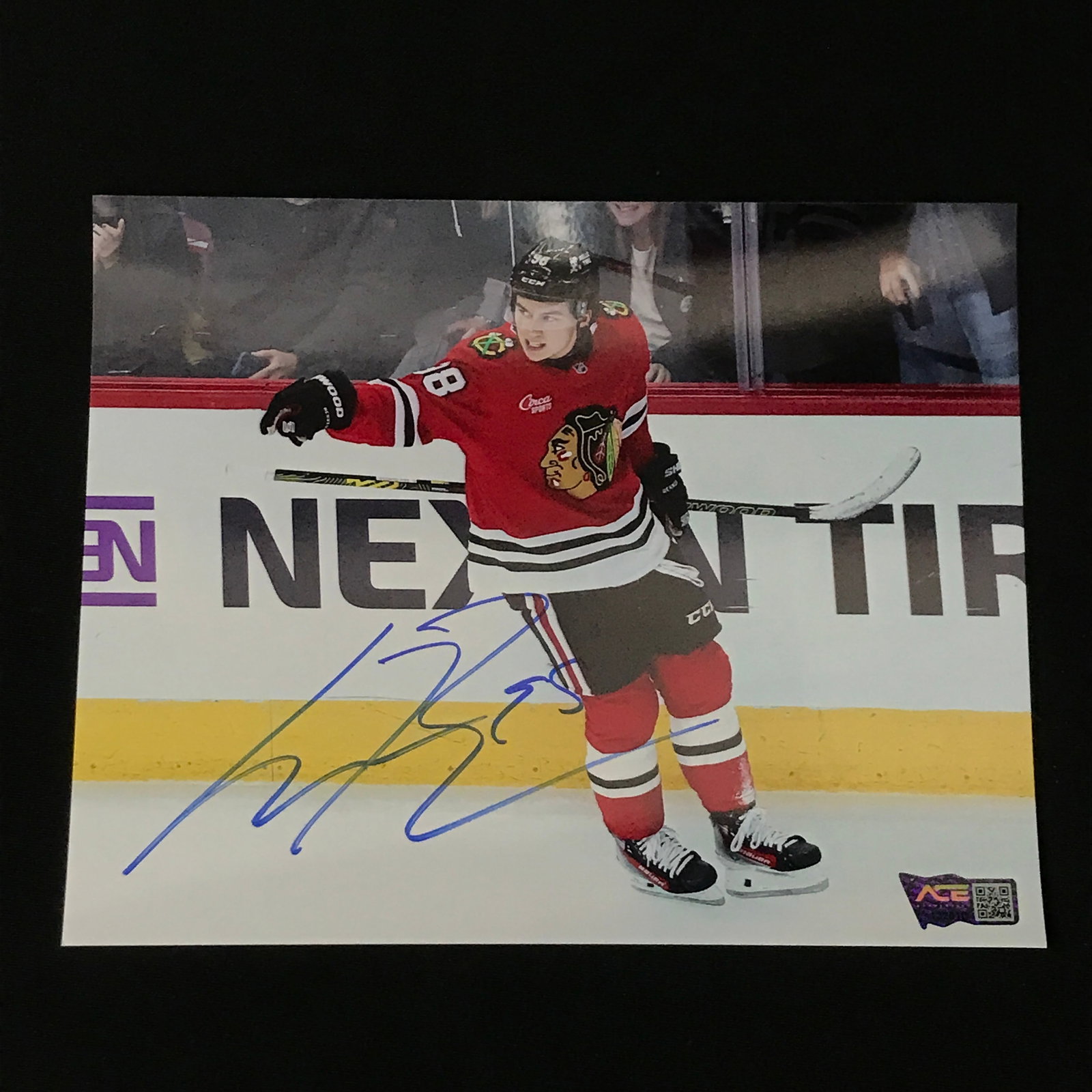 CONNOR BEDARD SIGNED 8X10 - ACE COA: Prices are in Canadian dollars