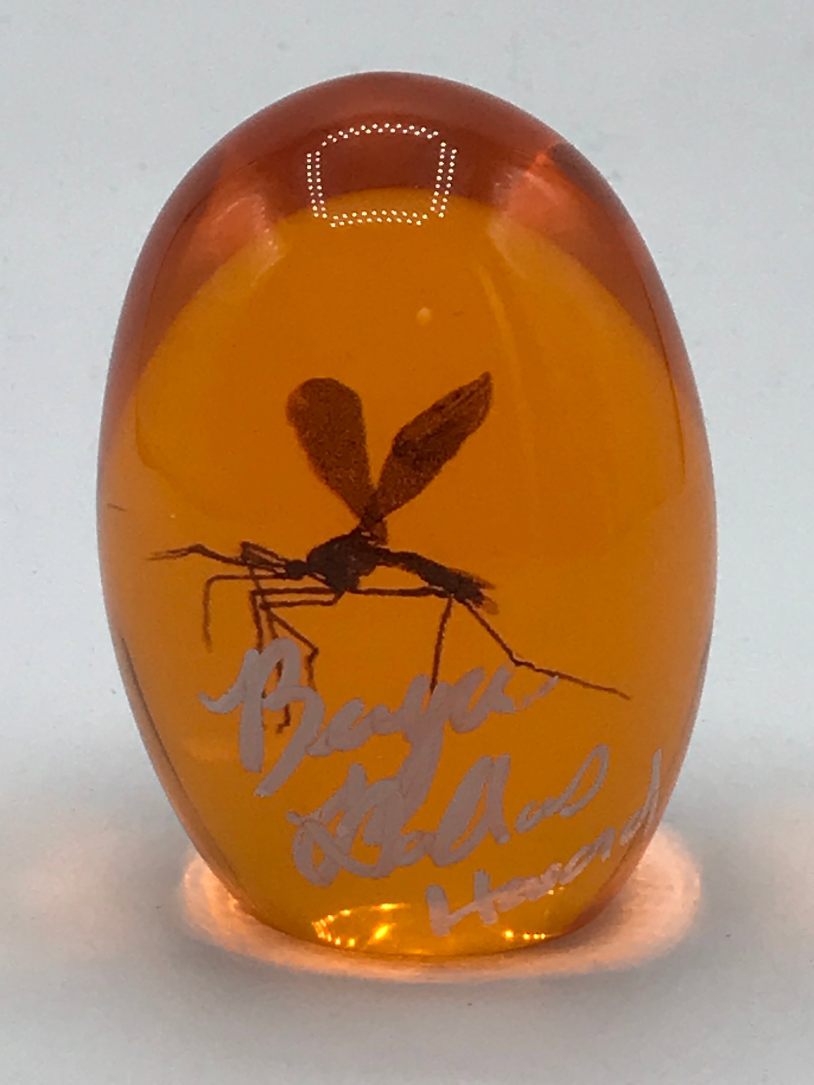 BRYCE DALLAS HOWARD SIGNED PROP AMBER EGG - WWOC COA: Prices are in Canadian dollars
