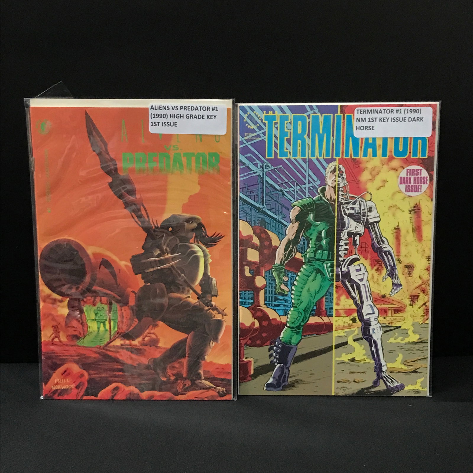 LOT OF 2 DARK HORSE #1 COMICS - ALIEN VS PREDATOR AND TERMINATOR (1 of 1)