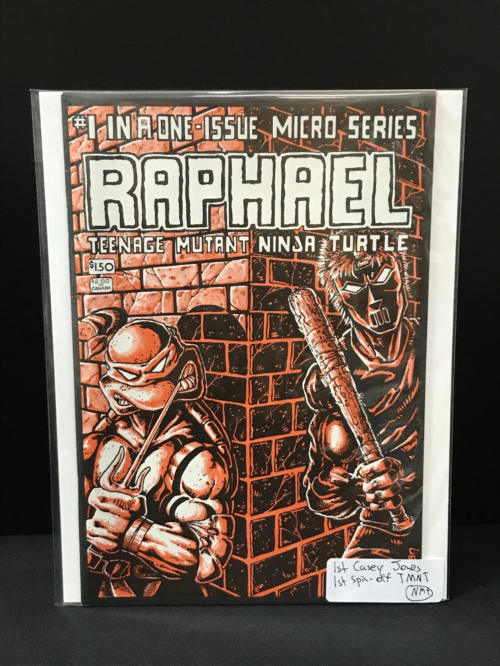 TEENAGE MUTANT NINJA TURTLES RAPHAEL #1 1ST CASEY JONES - EASTMAN AND LAIRD (1 of 1)