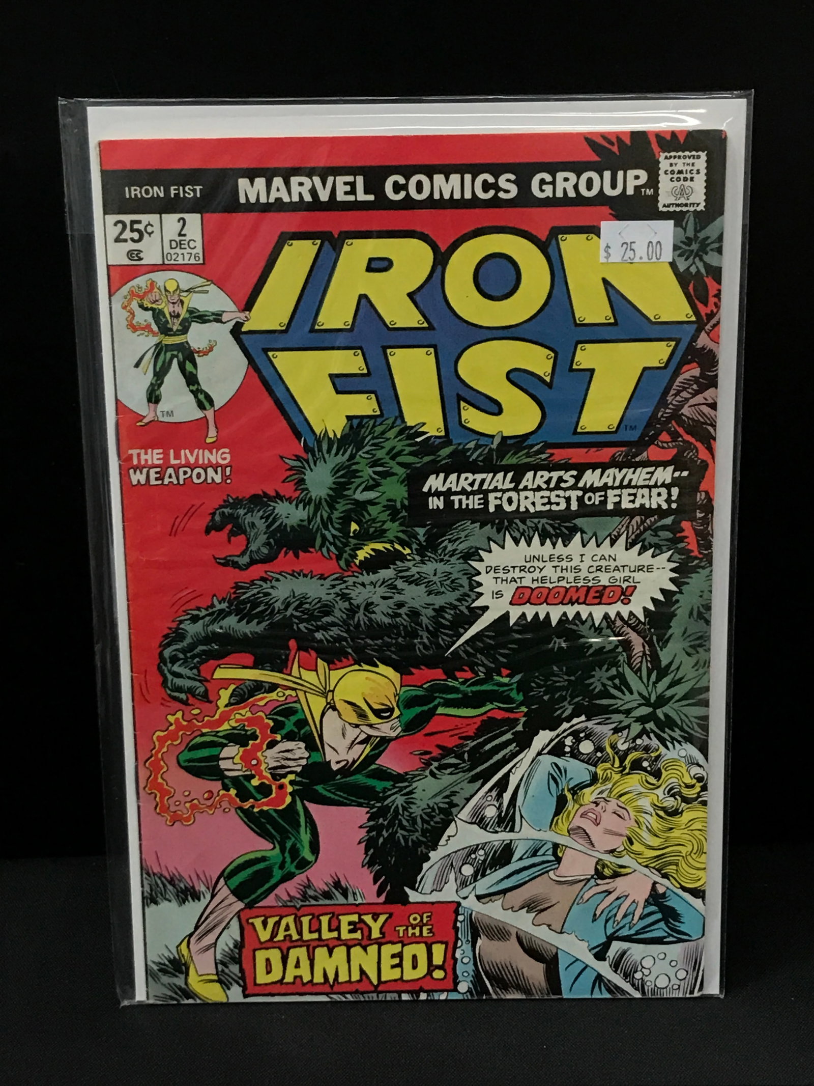 IRON FIST #2 - MARVEL COMICS (1 of 1)