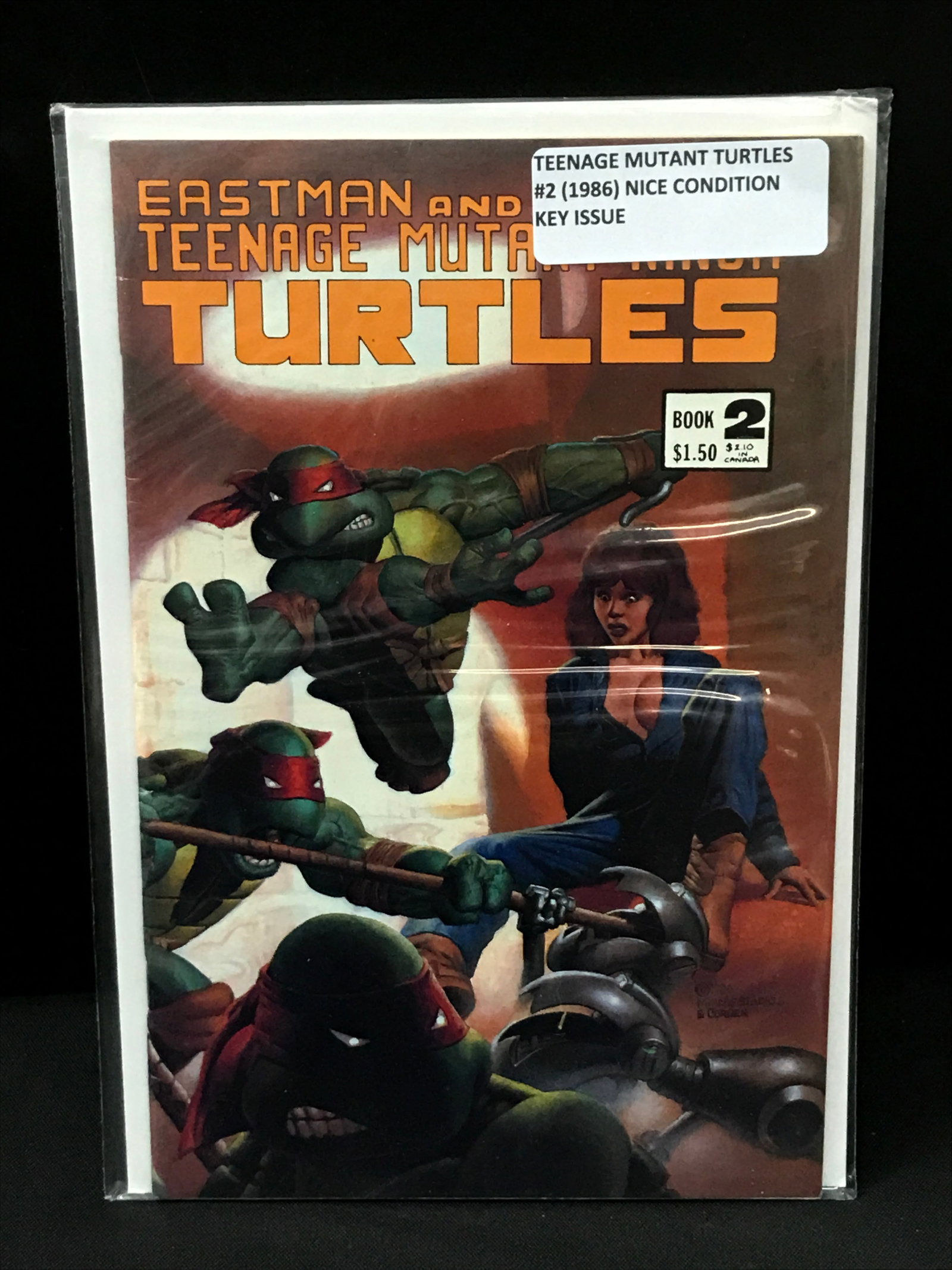 TEENAGE MUTANT NINJA TURTLES #2 (1986) - EASTMAN AND LAIRD (1 of 1)