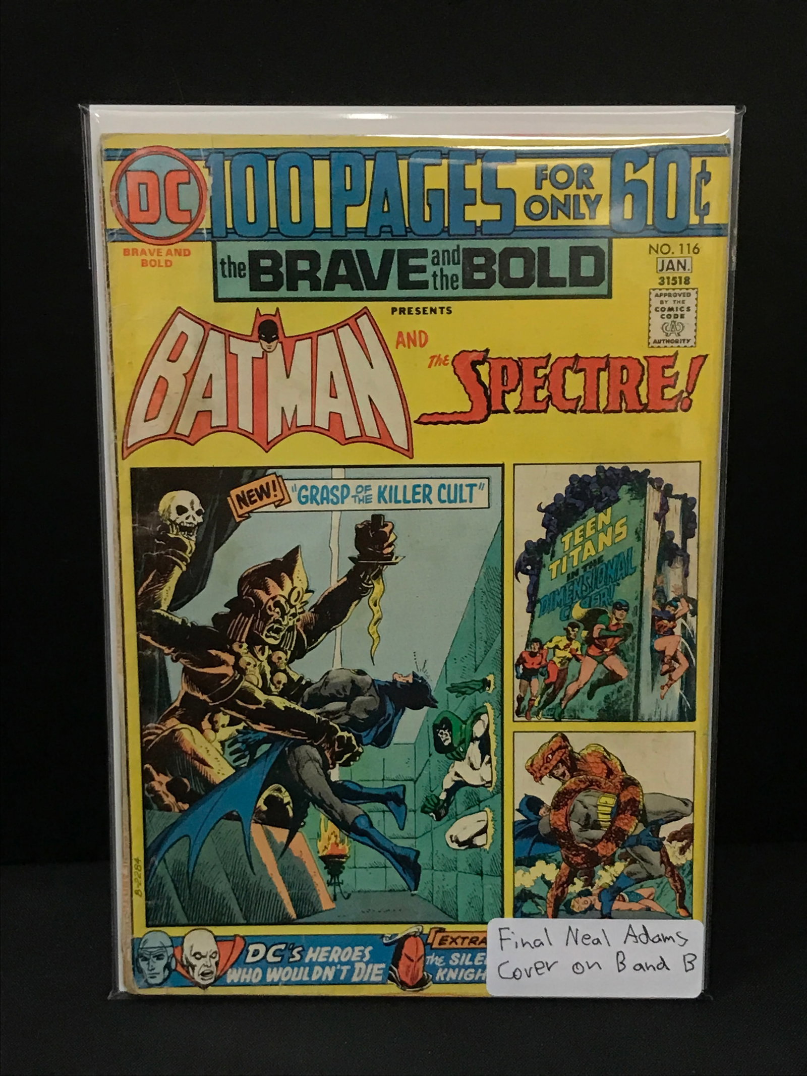 BRAVE AND THE BOLD #116 - DC COMICS (1 of 1)