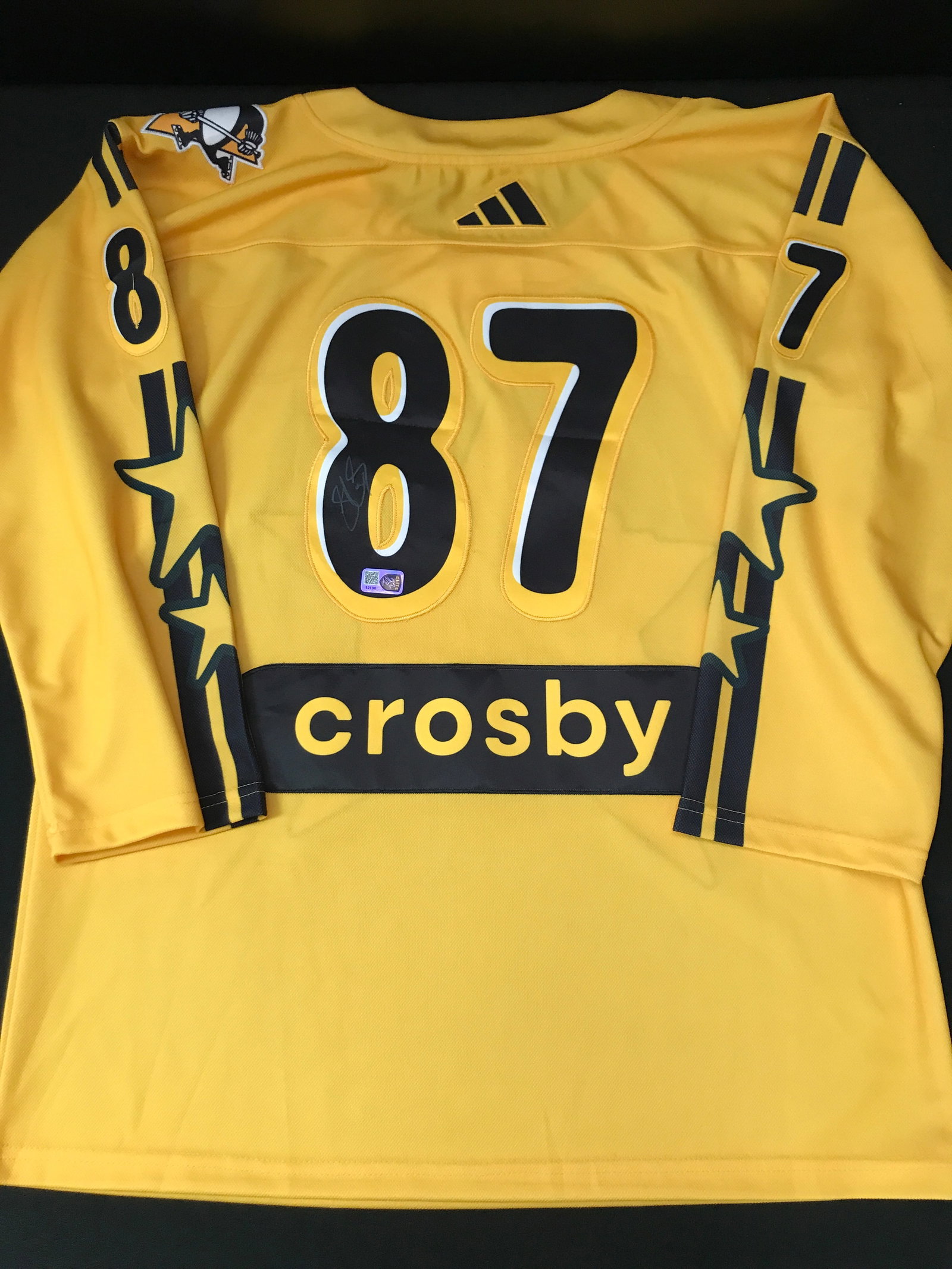 SIDNEY CROSBY SIGNED NHL ALL STARS CUSTOM JERSEY - ELITE COA: Prices are in Canadian dollars