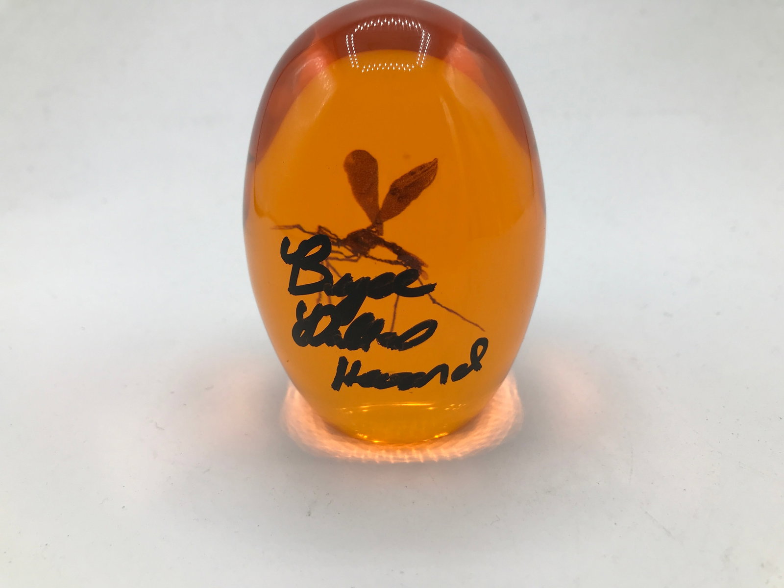 BRYCE DALLAS HOWARD SIGNED JURASSIC PARK AMBER EGG (WWOC COA): Prices are in Canadian dollars