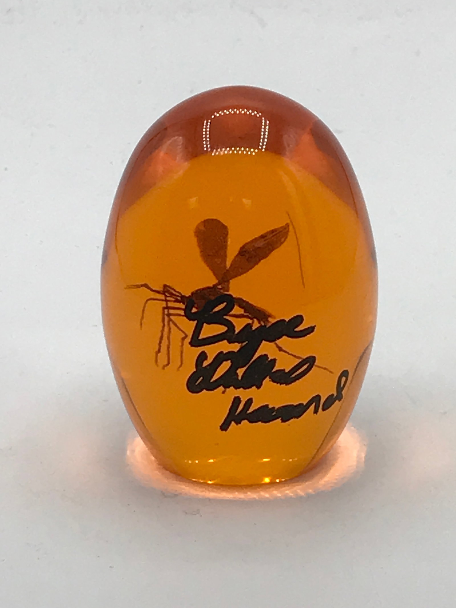 BRYCE DALLAS HOWARD SIGNED JURASSIC PARK PROP AMBER EGG - WWOC COA: Prices are in Canadian dollars