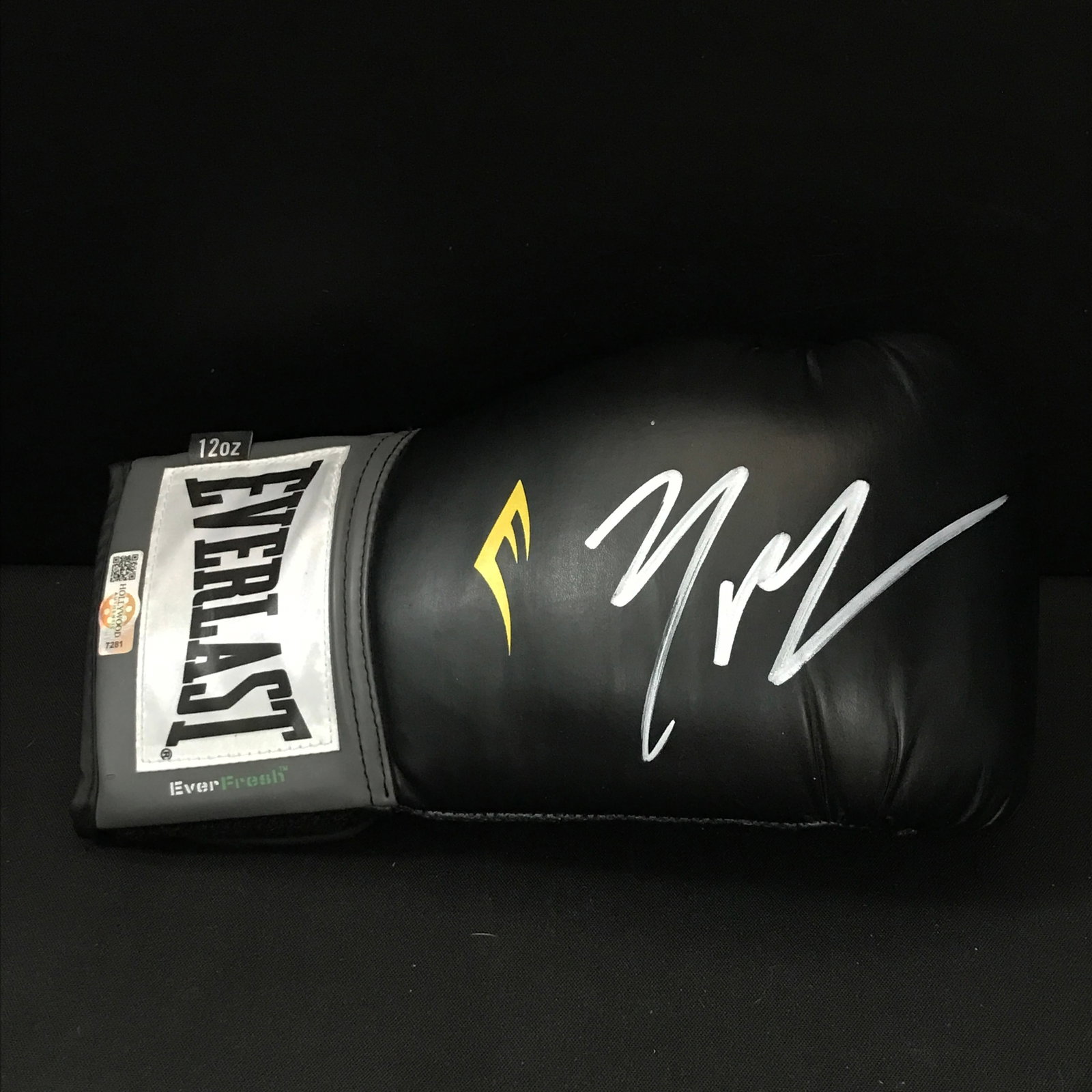 MICHAEL B JORDAN SIGNED BOXING GLOVE - HOLLYWOOD COA: Prices are in Canadian dollars