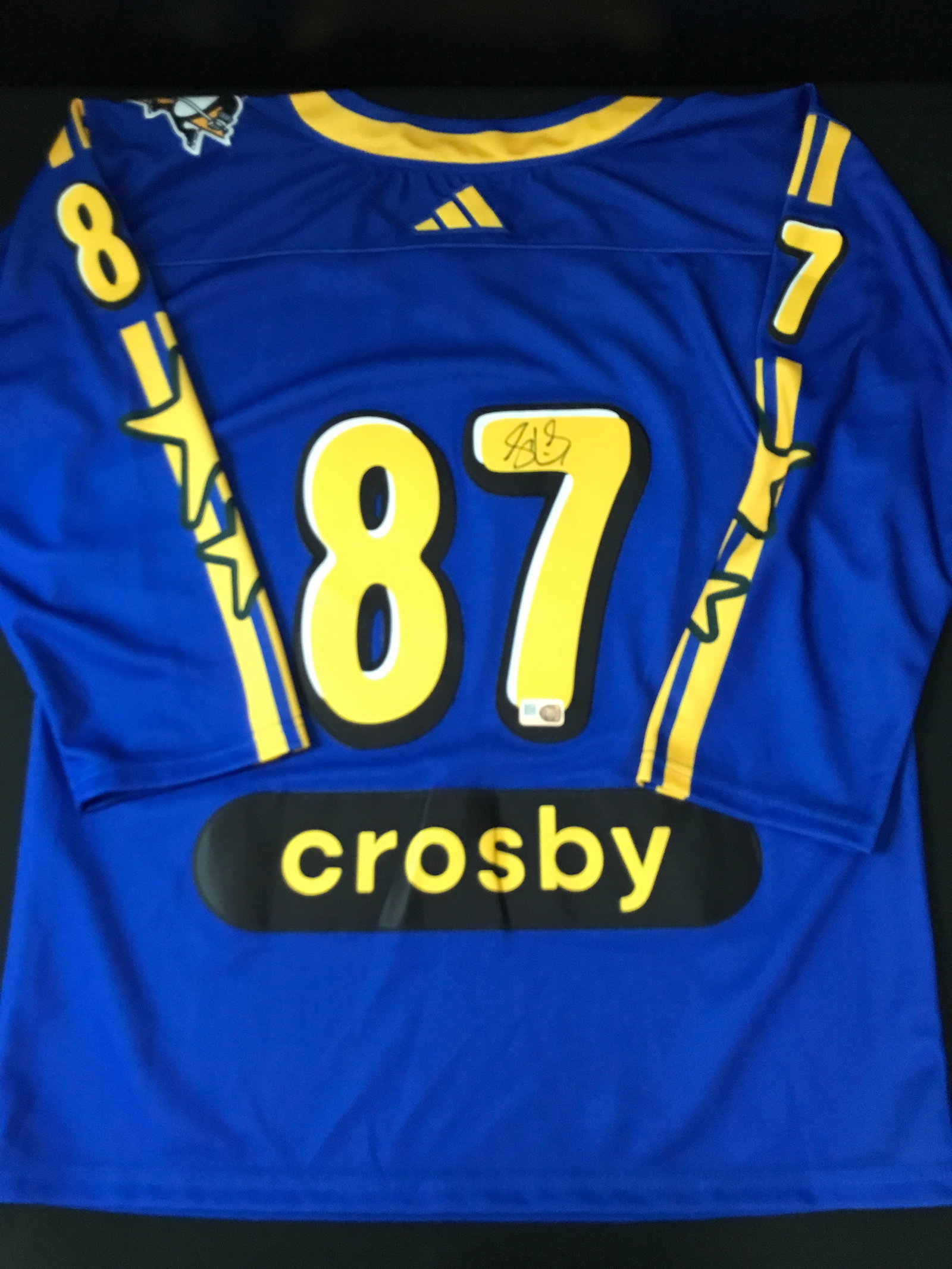 SIDNEY CROSBY SIGNED NHL ALL STARS CUSTOM JERSEY - ELITE COA: Prices are in Canadian dollars