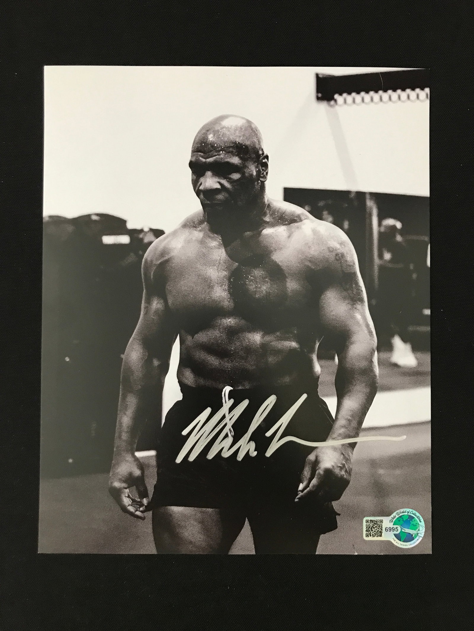 MIKE TYSON SIGNED 8X10 - WWOC COA: Prices are in Canadian dollars