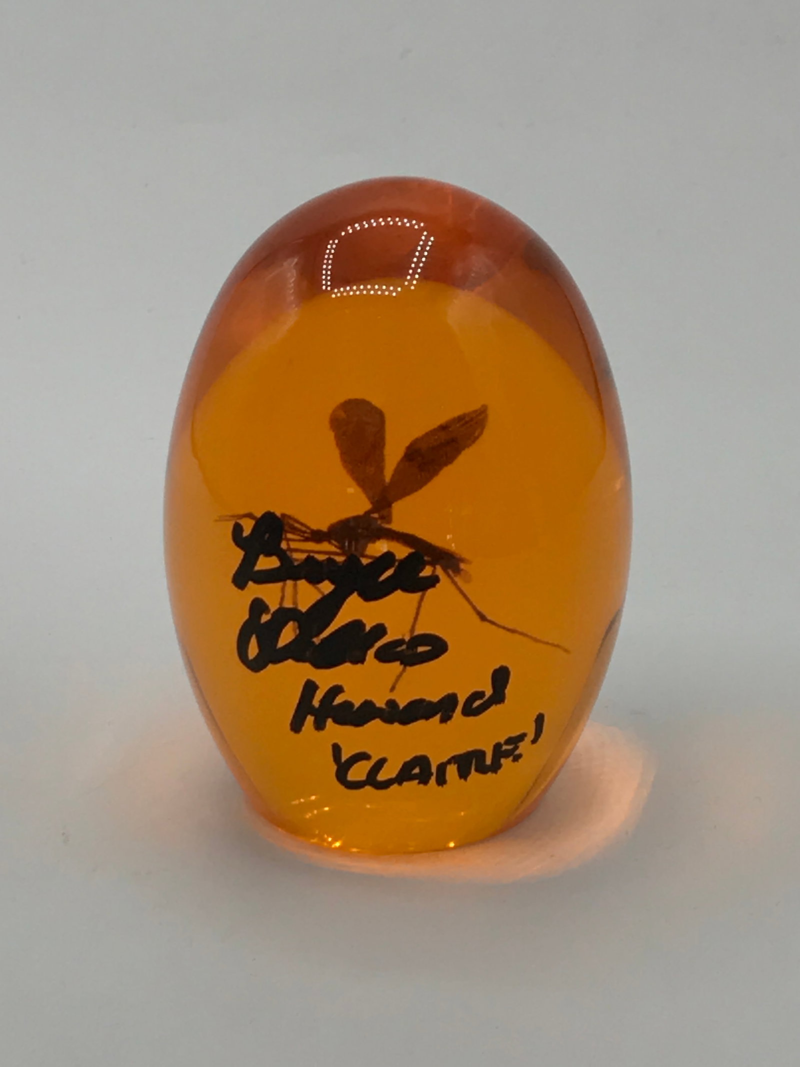 BRYCE DALLAS HOWARD SIGNED AND INSCRIBED 'CLAIRE' PROP AMBER EGG - WWOC COA: Prices are in Canadian dollars