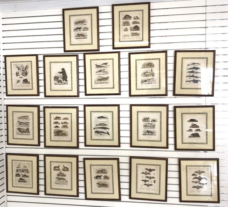 Group of 18 Swedish animal prints (1 of 7)