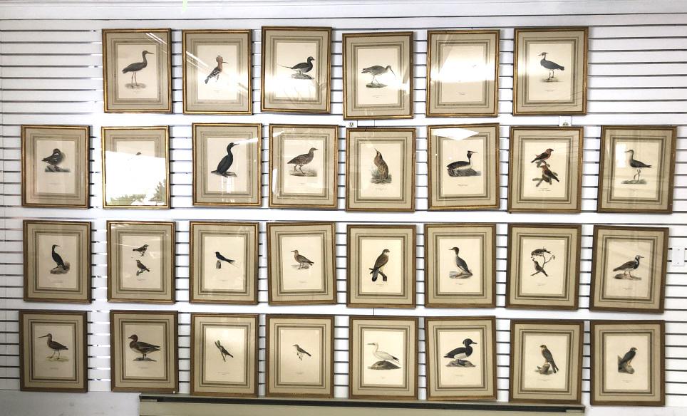 Set of 30 bird prints (1 of 8)