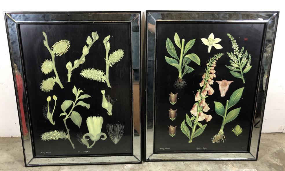 Pair of botanical prints (1 of 8)