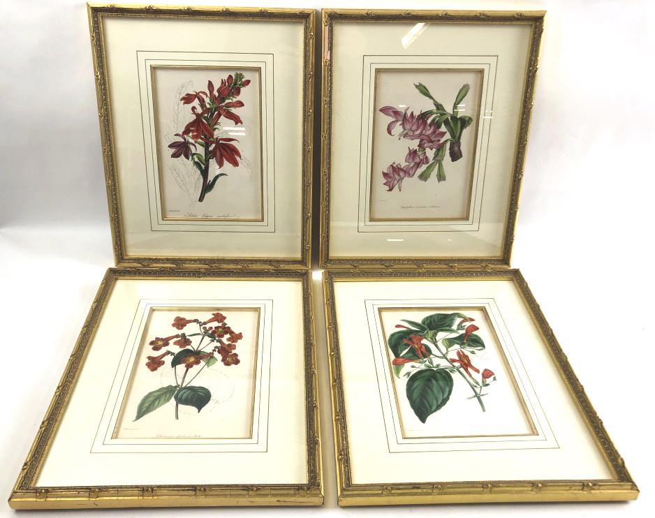 Set of 4 botanical prints (1 of 6)