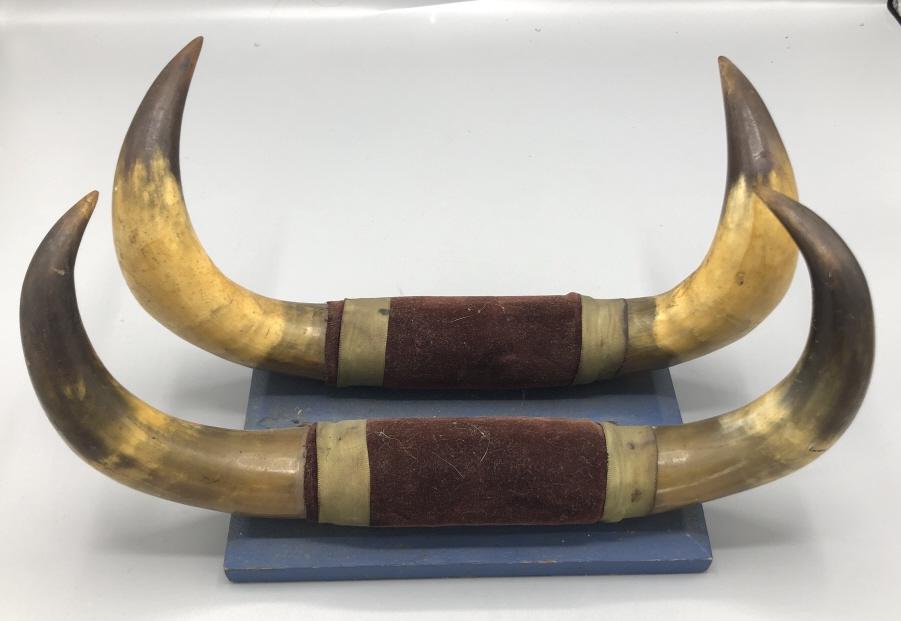 Two mounted cow horns (1 of 3)
