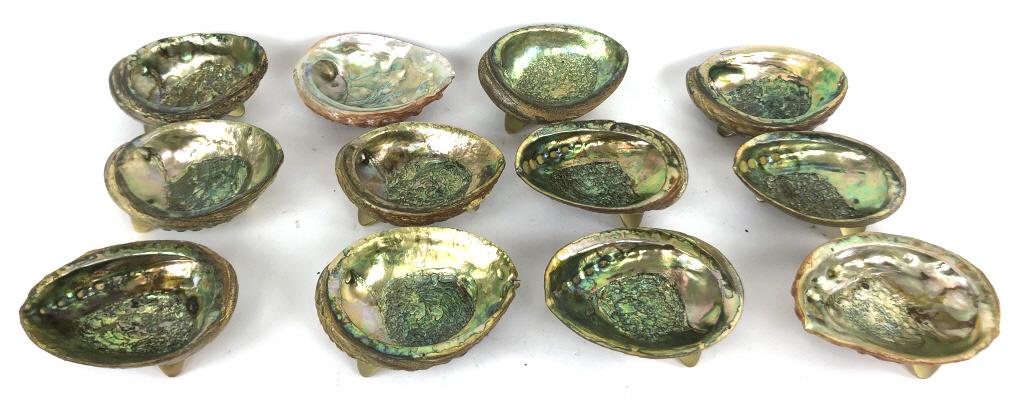 A Group of 12 Abalone Shells (1 of 4)