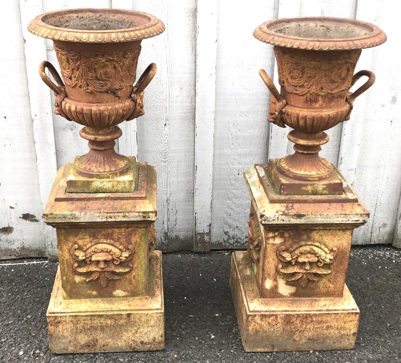 Pair of cast iron planters on pedestals (1 of 5)
