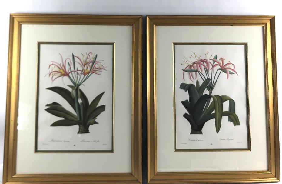 A Pair of Botanical Prints Image Sight is 21 1/2" x (1 of 9)