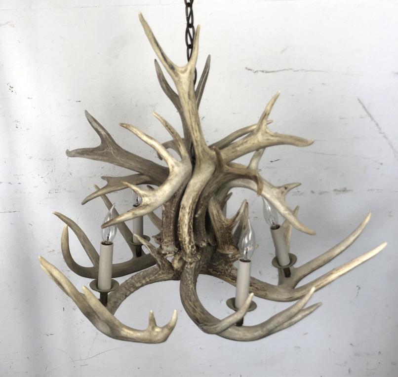 Antler 5 Light Chandelier 21" h x 27" w.  Condition, (1 of 4)