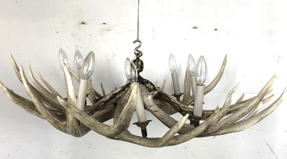 Antler 8 Light Chandelier 10 1/2" h x36" diameter.: Antler 8 Light Chandelier 10 1/2" h x36" diameter. Condition, good