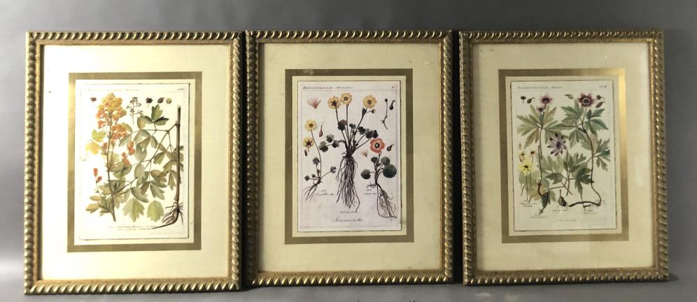 A Group of 3 Botanical Prints (1 of 7)