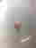 item-134253556=3