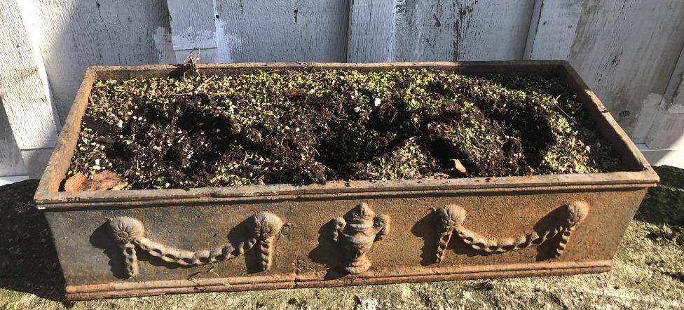 Neo-Classical Style Cast Iron Planter (1 of 4)