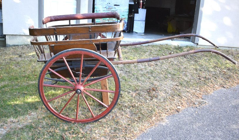 Horse Drawn Cart (1 of 8)