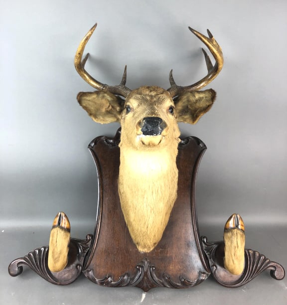 Deer Mount Gun Rack: Deer Mount Gun Rack 33"h x 35"w Condition: Old repair nose and mouth.