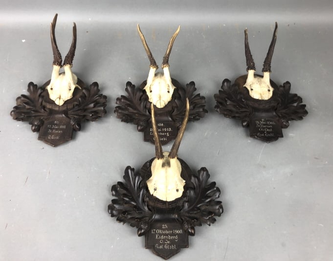 Group of Four Black Forest Mounted Antlers (1 of 6)