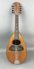 Bowl-back Mandolin