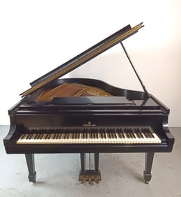 Black Lacquered Steinway Model M Grand Piano