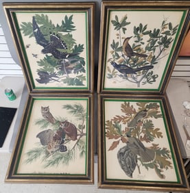4 Audubon Bird Prints
