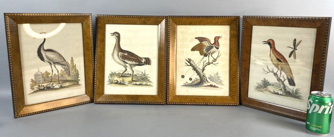 George Edwards Menagerie of Birds Etchings