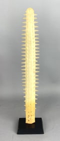 Sawbill Shark Mount