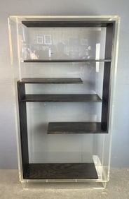 Lucite and Black Lacquered Display Case