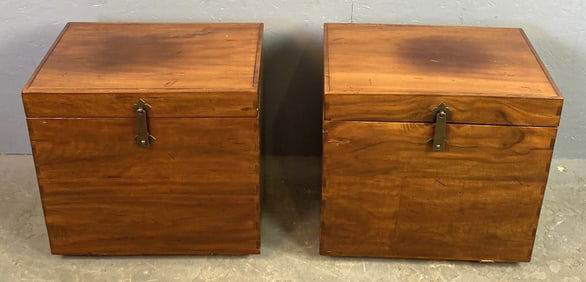 Pair of Camphor Wood Trunks