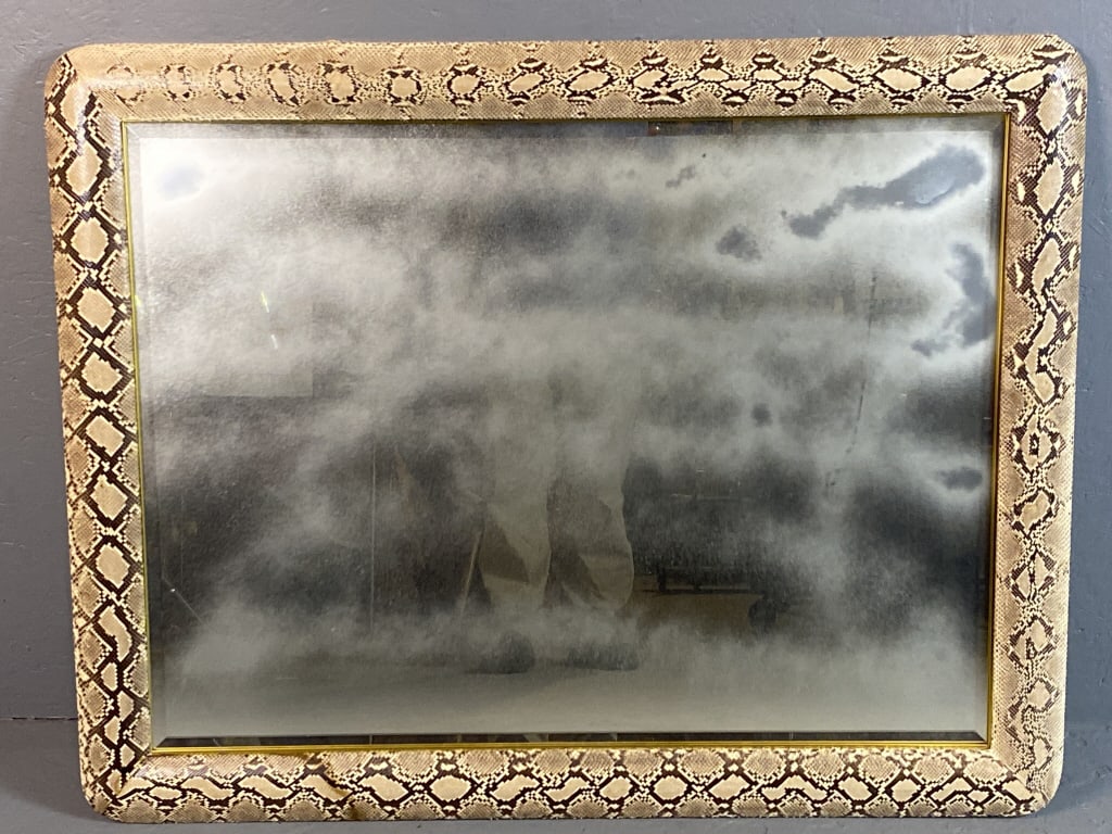 Snakeskin & Beveled Glass Mirror (1 of 4)