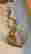 item-87505067=4