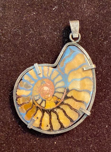 Ammonite fossilized shell pendant sterling grade trim (1 of 2)