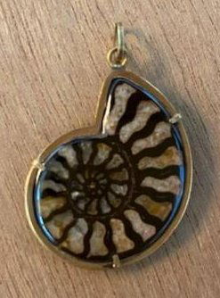 Ammonite fossilized shell pendant 14K Gold (1 of 2)