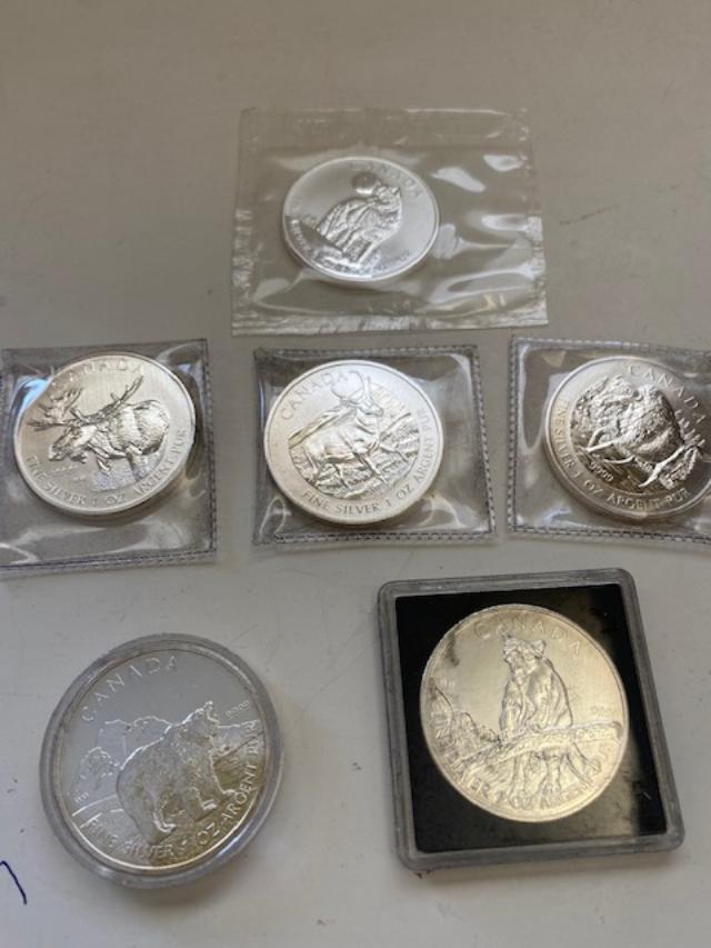 (6) Canadian 1 oz silver $1 coins (1 of 8)