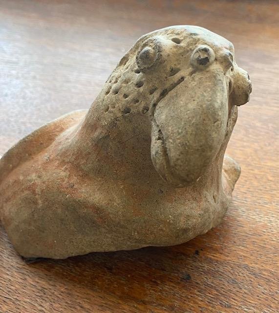 Pre-Columbian Parrot Head from jar ca 1200 AD (1 of 3)
