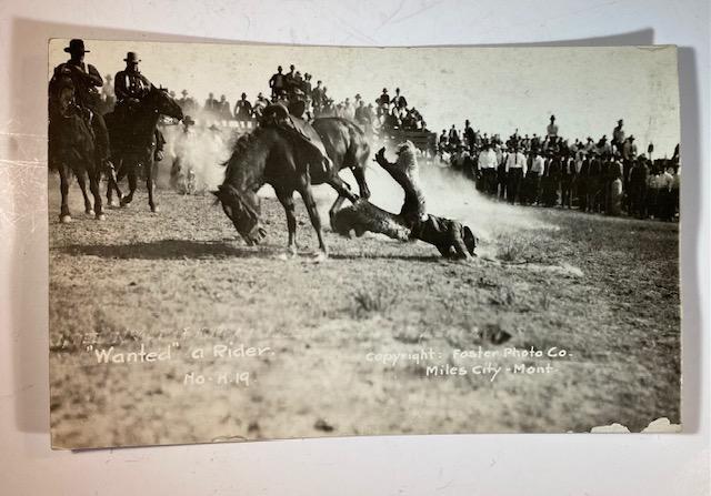 RPPC 1910-1920 Rodeo Round-up Photo Cowboy: "Wanted" A Rider. Foster Photo Company, Miles City, Montana No. H19. Real Photograph Post Card Rodeo, Round-up, Bucking Bronco, photos by R.R. Doubleday and others. Circa 1910s- 1920s. FREE DOMESTIC S