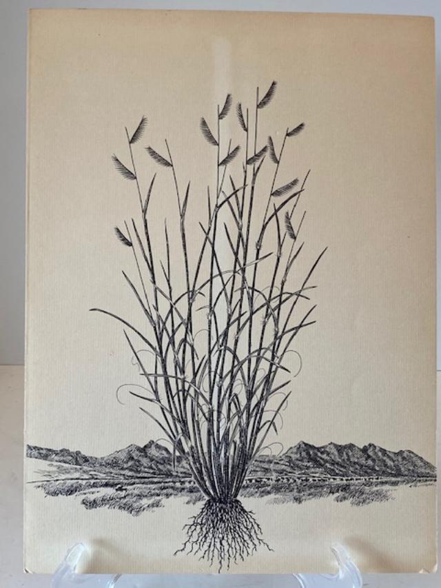 Jose Cisneros Grass Print Original (1 of 5)