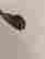 item-111966965=4
