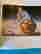 item-129121323=3