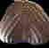 item-130679943=4